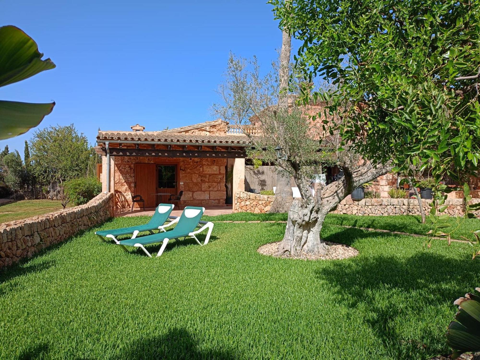 Farm stay Es Gallicant *