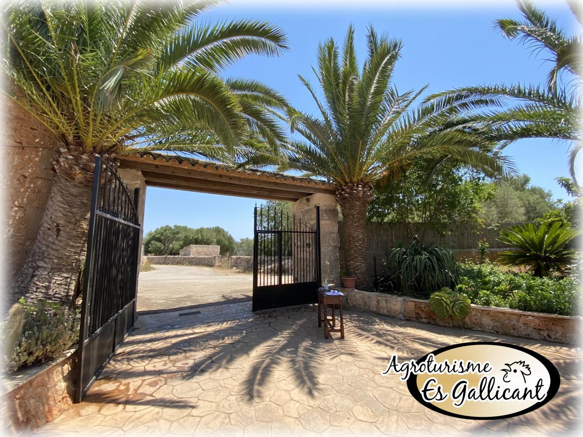 Farm stay Es Gallicant