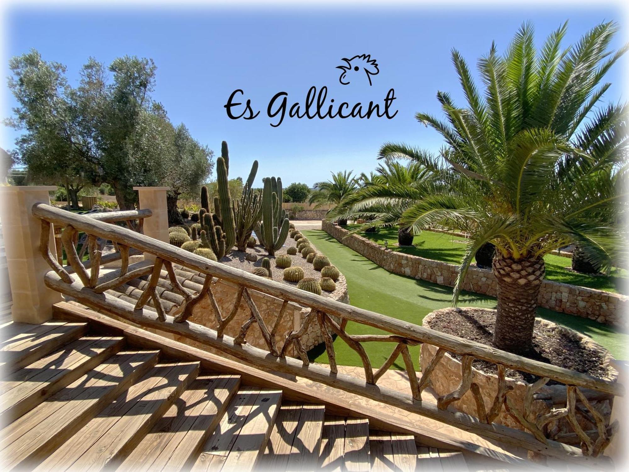 Es Gallicant Farm stay