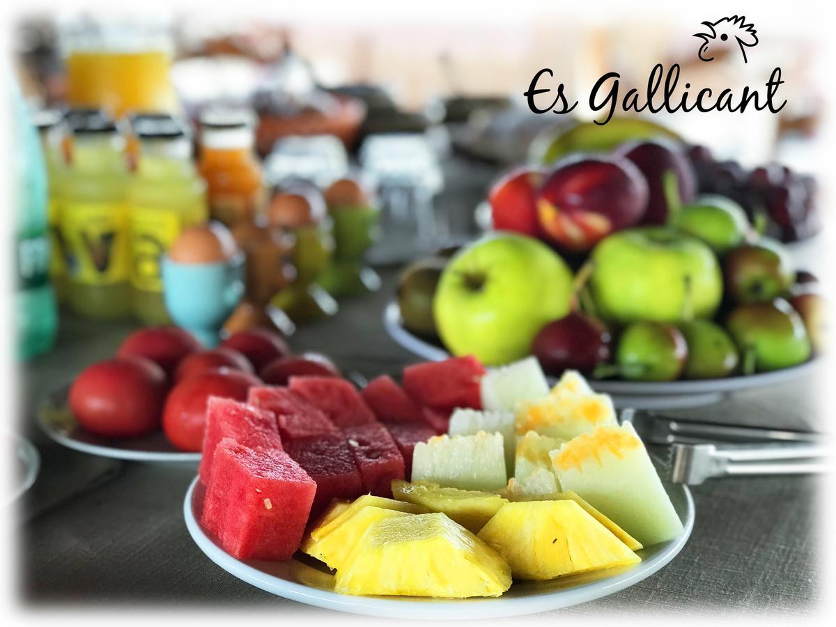 Farm stay Es Gallicant Campos (Mallorca)