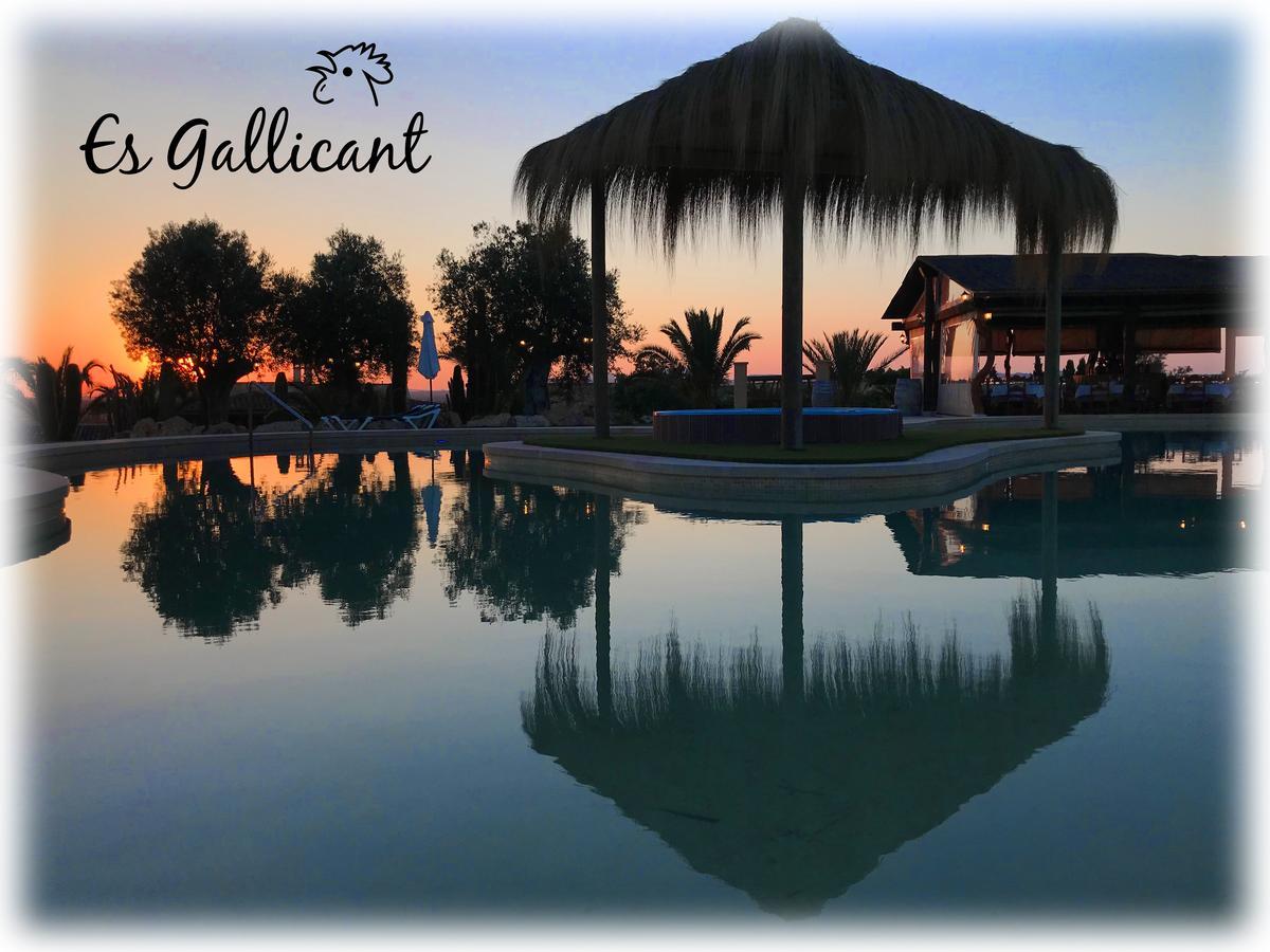 Farm stay Es Gallicant
