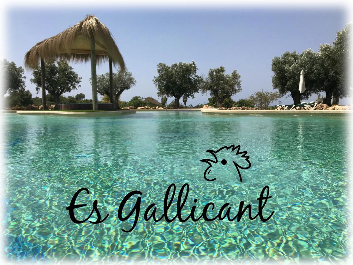 Farm stay Es Gallicant *