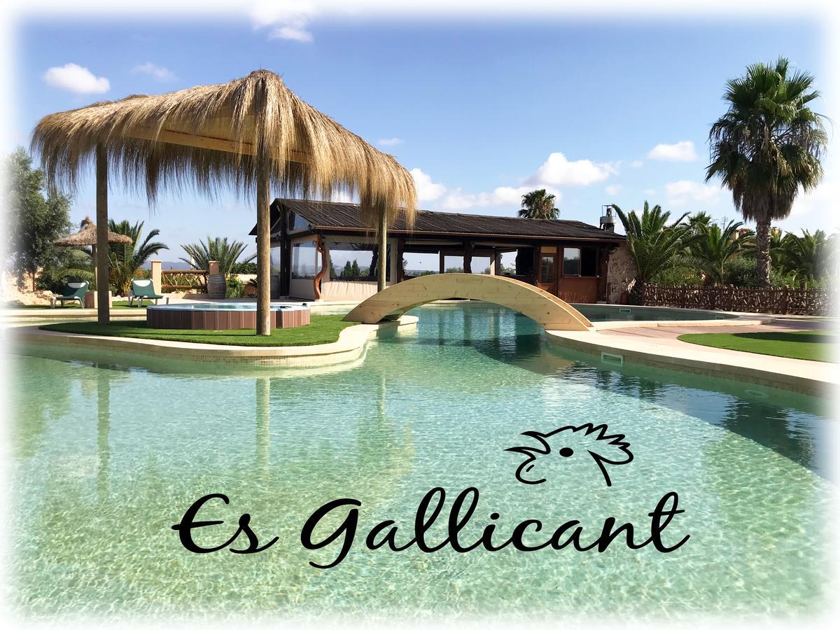 Farm stay Es Gallicant