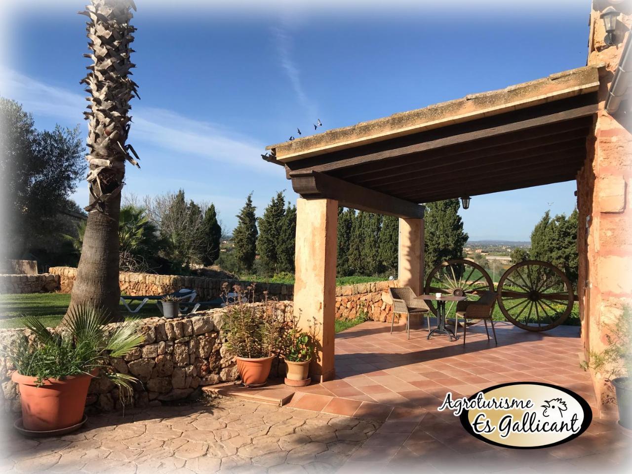 Es Gallicant Farm stay *